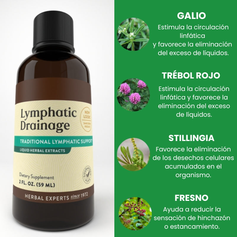 Drenaje linfático líquido – Recupera ligereza, energía y una piel lisa
